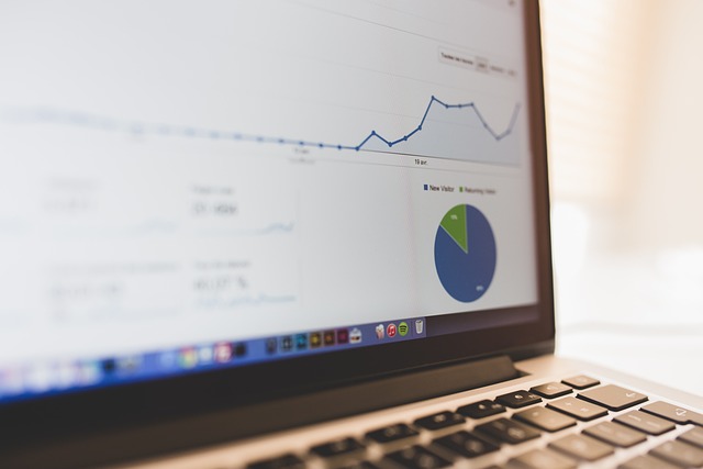 consulenza seo treviso