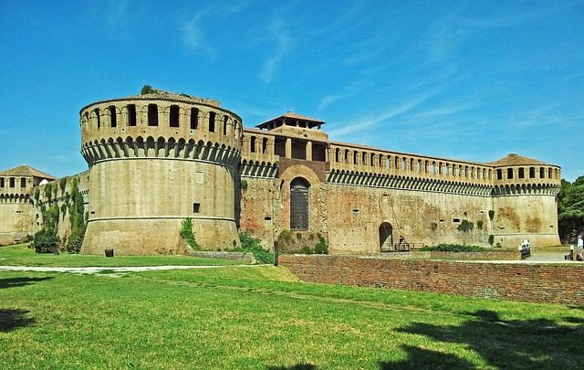 consulente seo imola