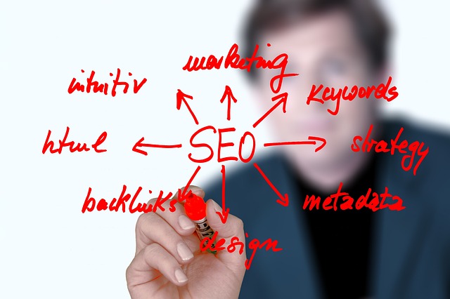 consulenza seo bologna