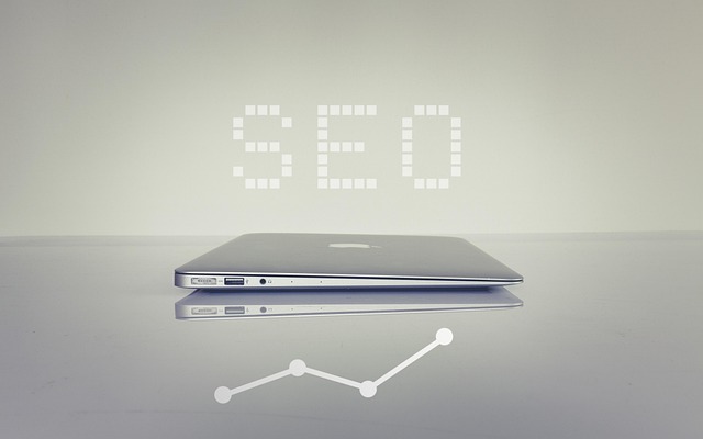 consulenza seo imola